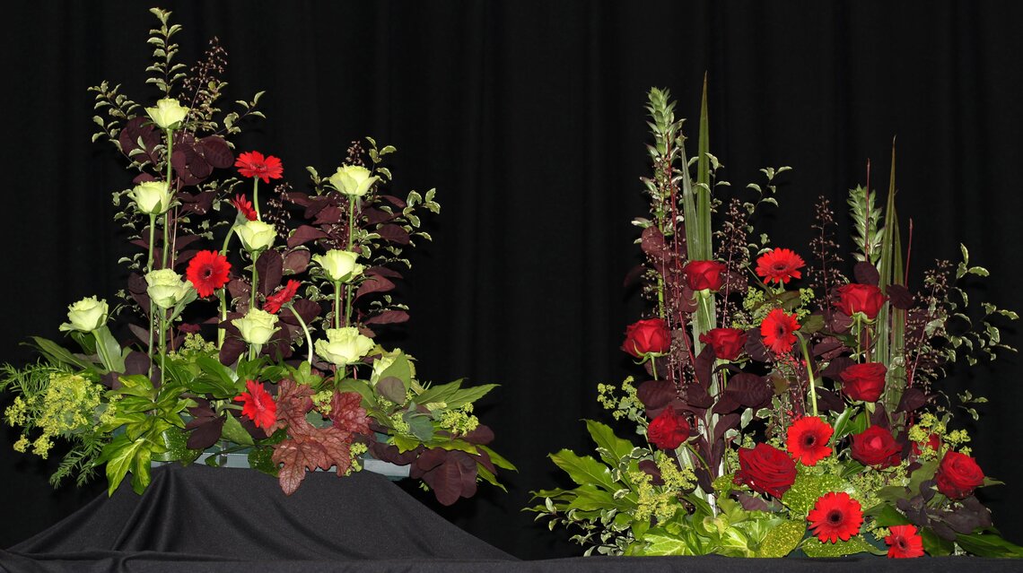 Red rose displays